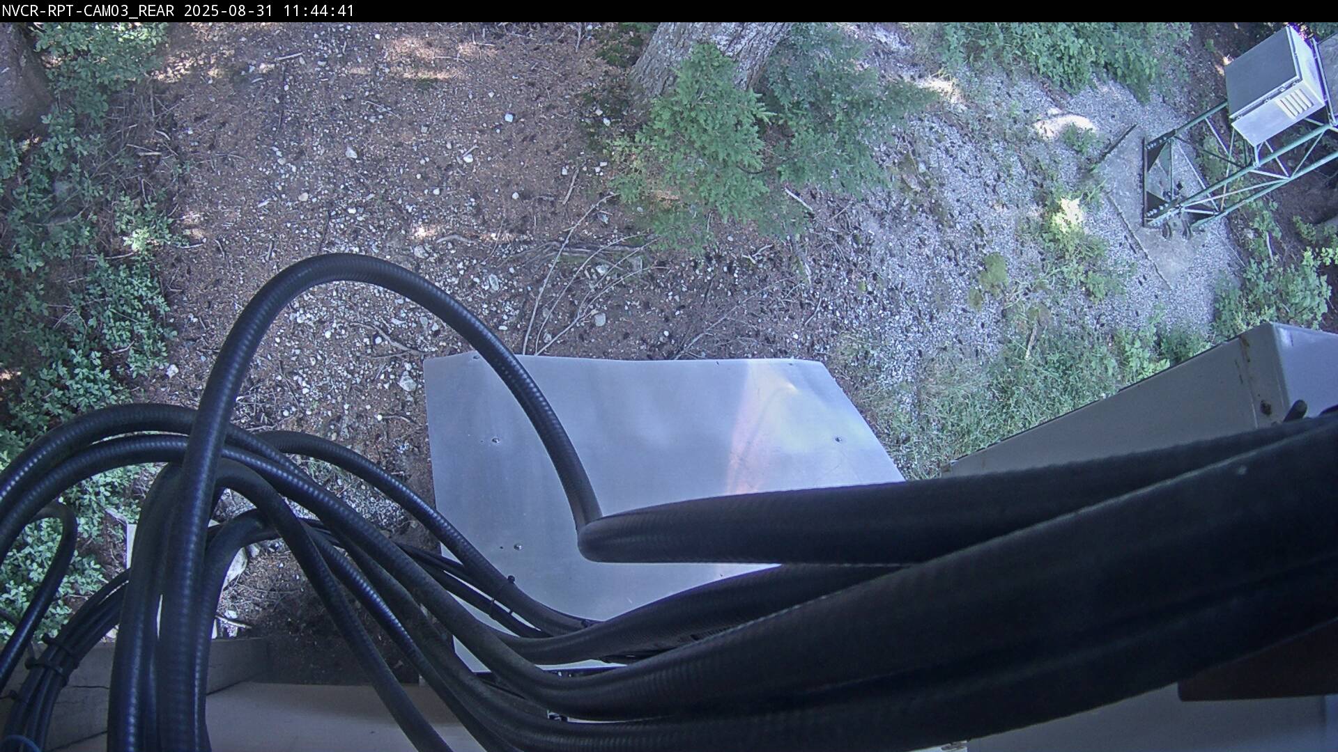 Web Cam History Image - 106