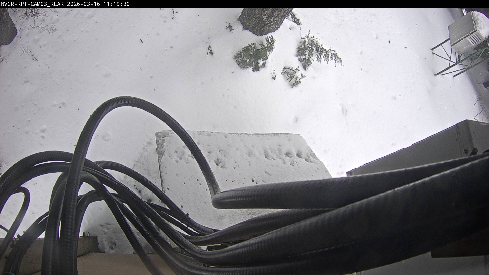 Web Cam History Image - 106