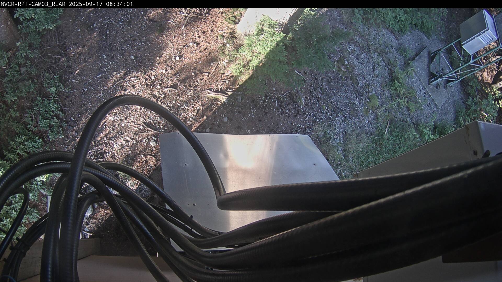 Web Cam History Image - 107