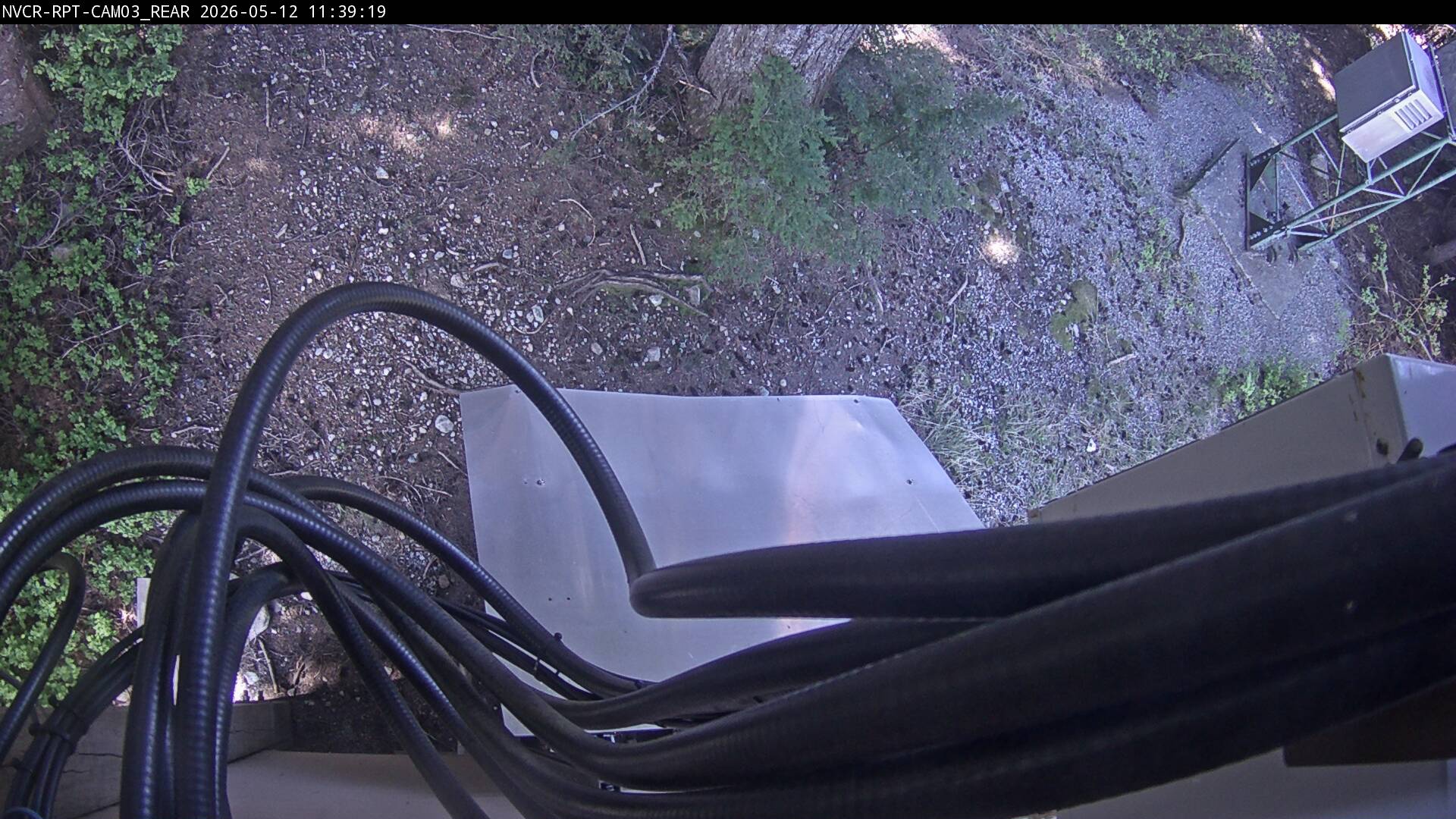 Web Cam History Image - 107