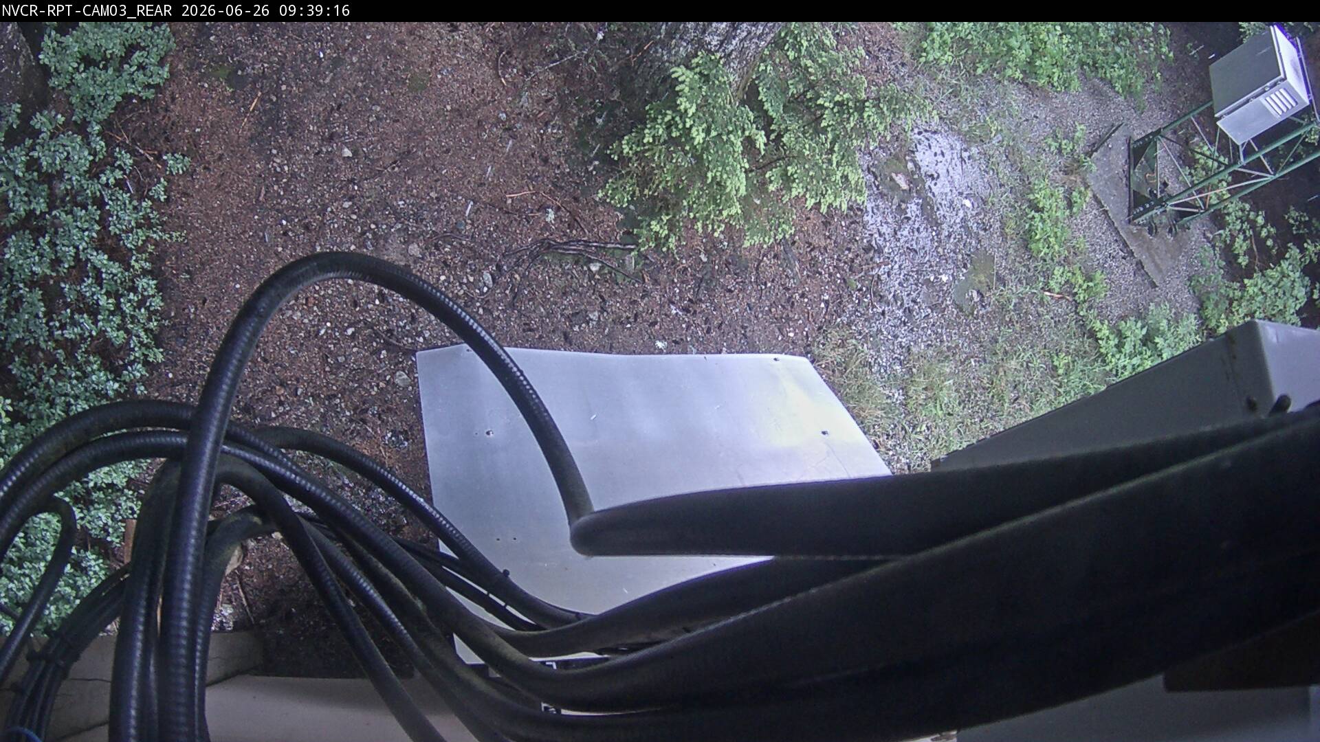 Web Cam History Image - 107