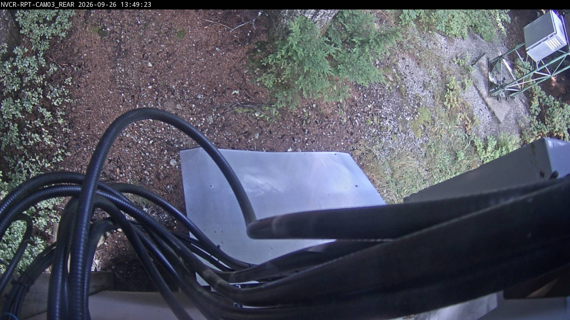 Web Cam History Image - 109