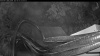 Web Cam Image - Fri, 06/26/2026 2:09am PDT