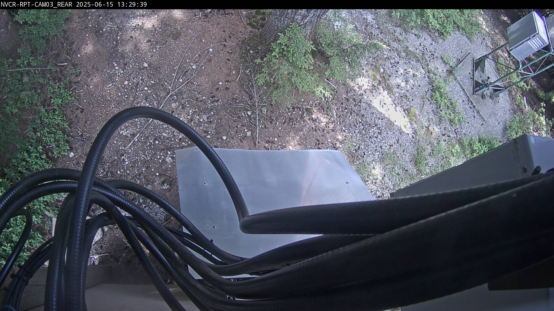 Web Cam History Image - 111