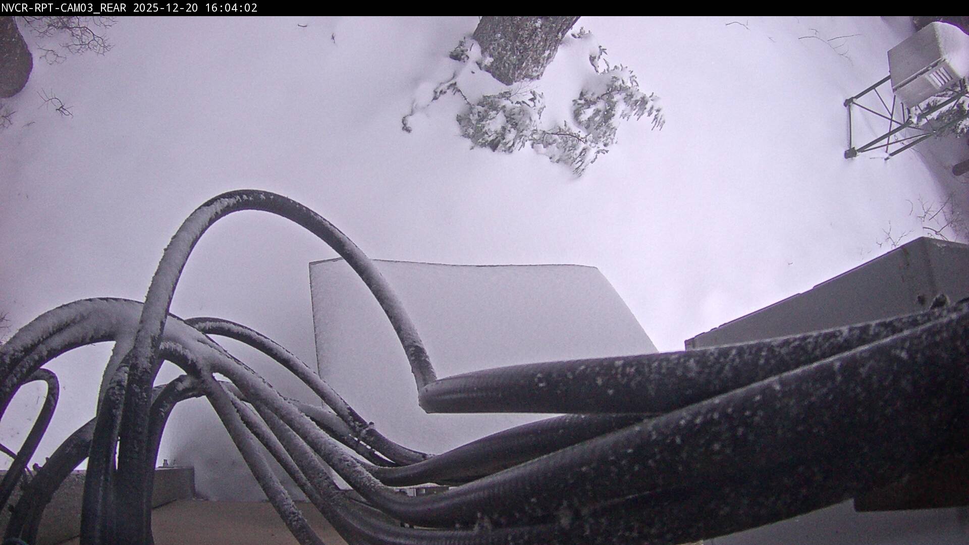 Web Cam History Image - 111