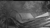 Web Cam Image - Thu, 08/27/2026 7:14pm PDT