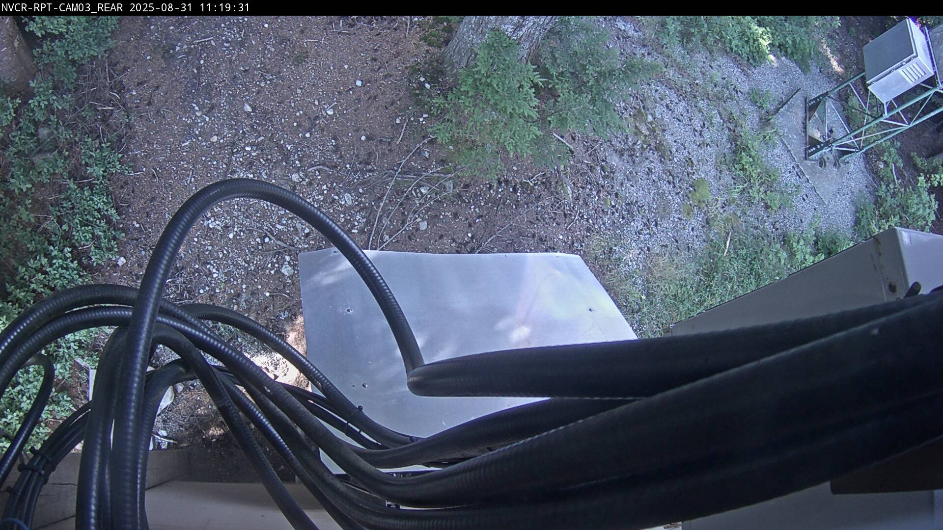 Web Cam History Image - 112