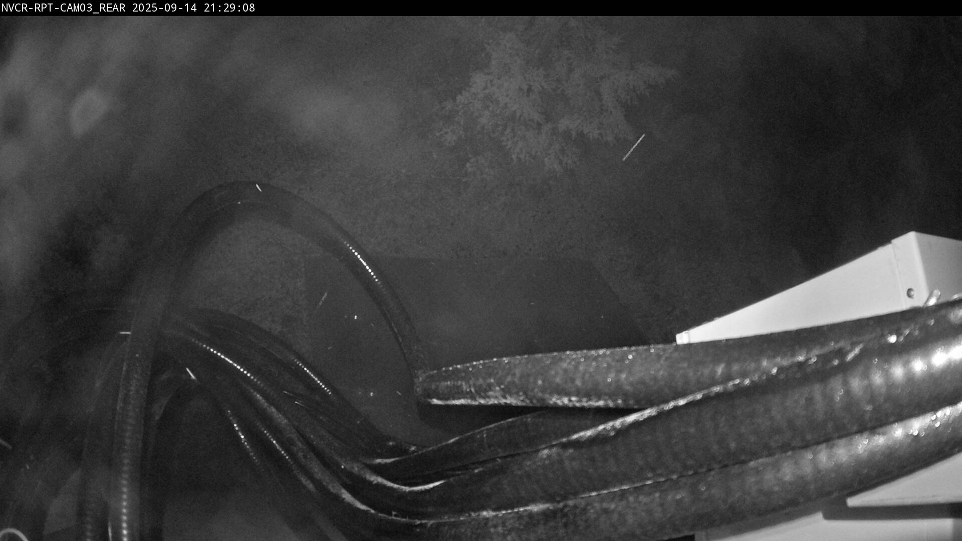 Web Cam History Image - 112