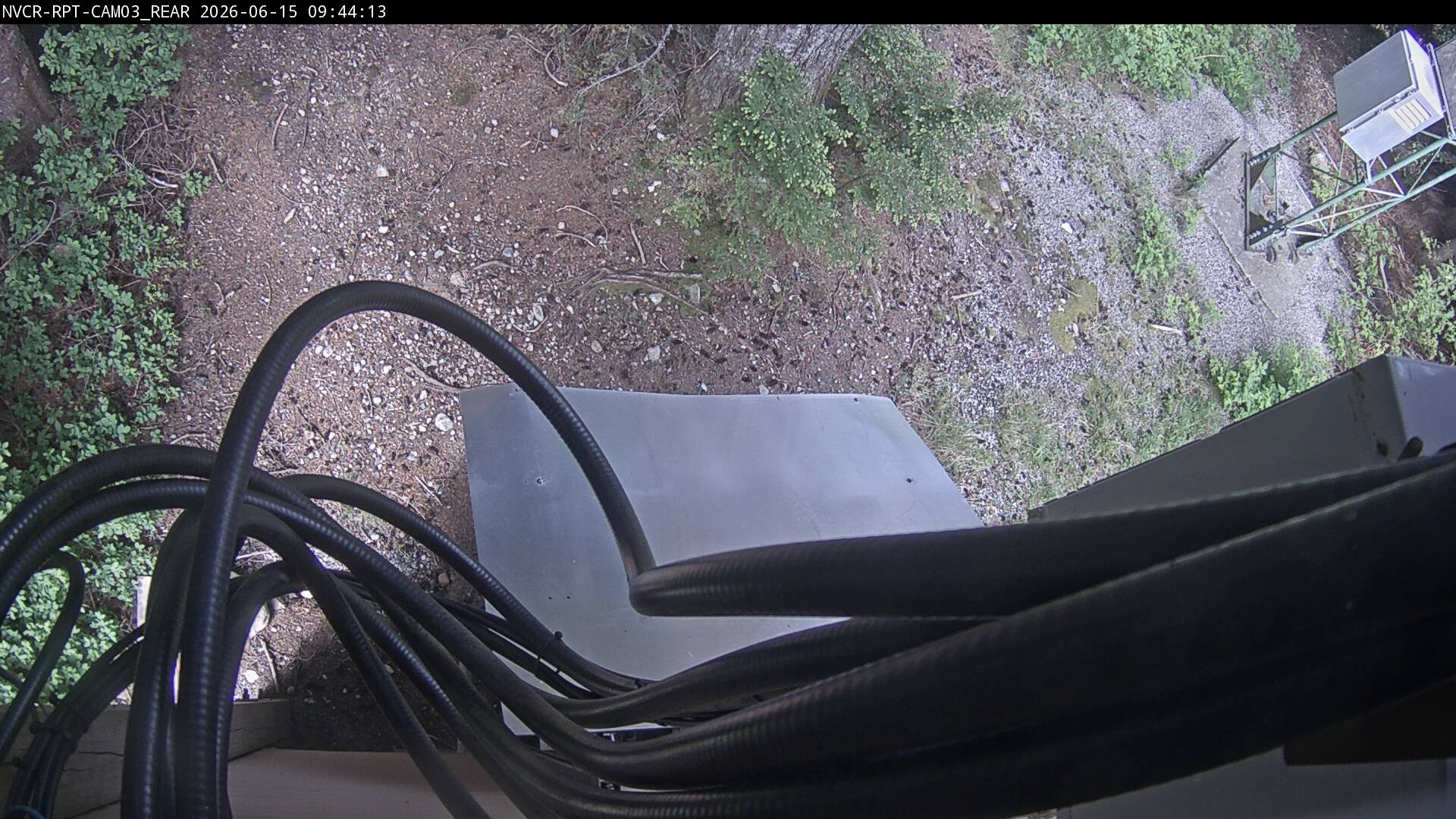 Web Cam History Image - 112