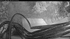 Web Cam Image - Fri, 09/25/2026 7:14am PDT