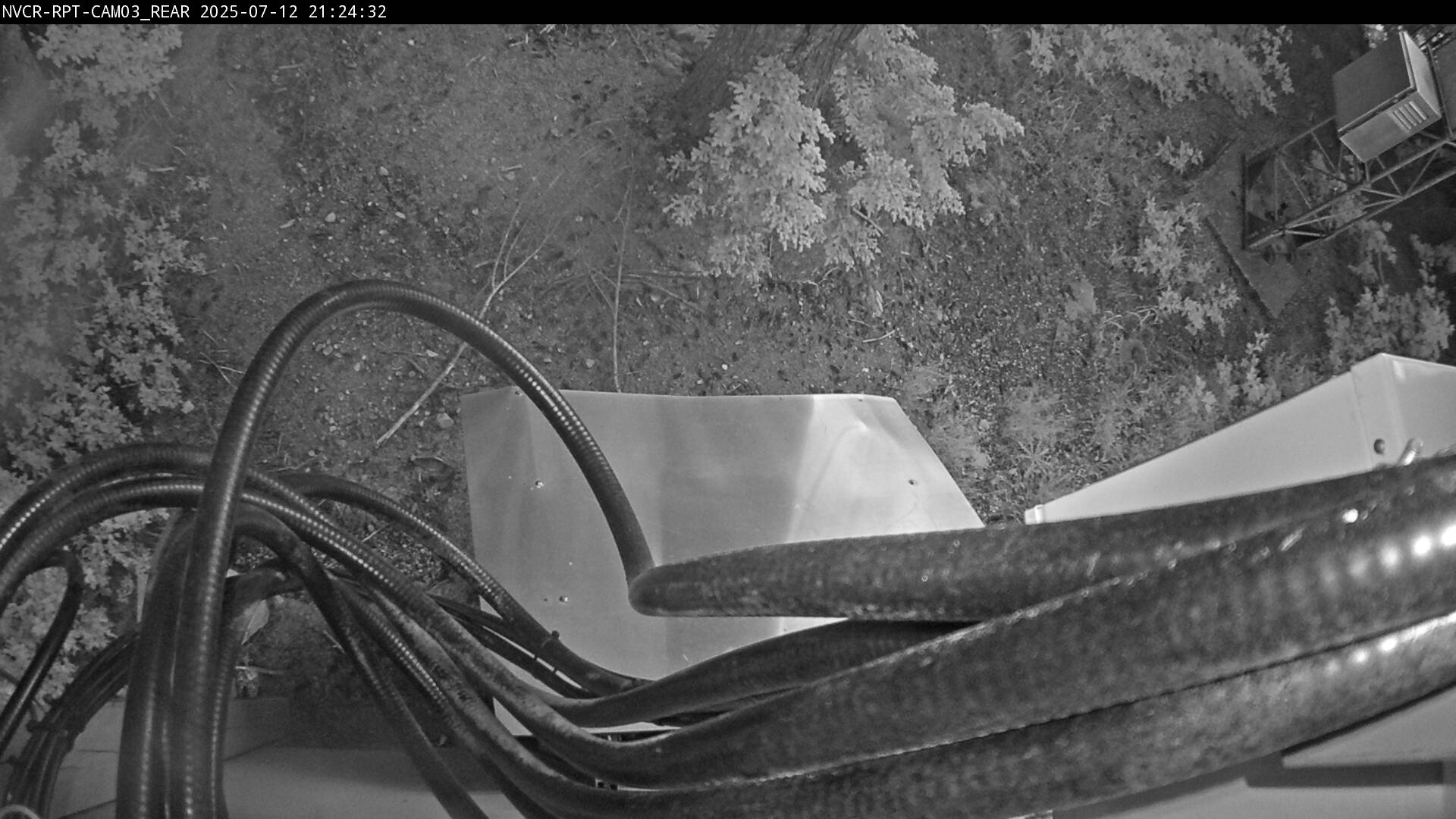 Web Cam History Image - 113