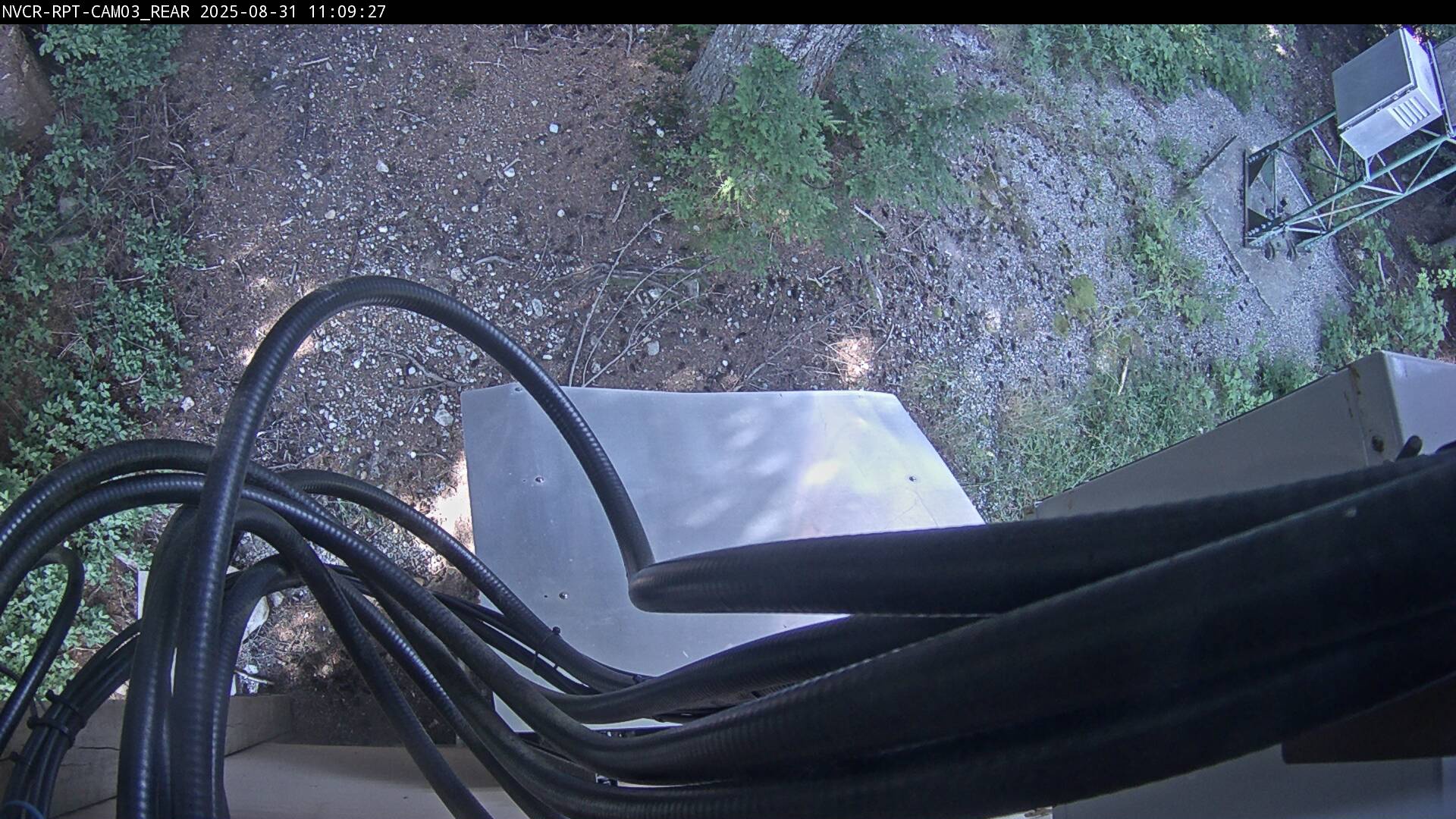 Web Cam History Image - 113