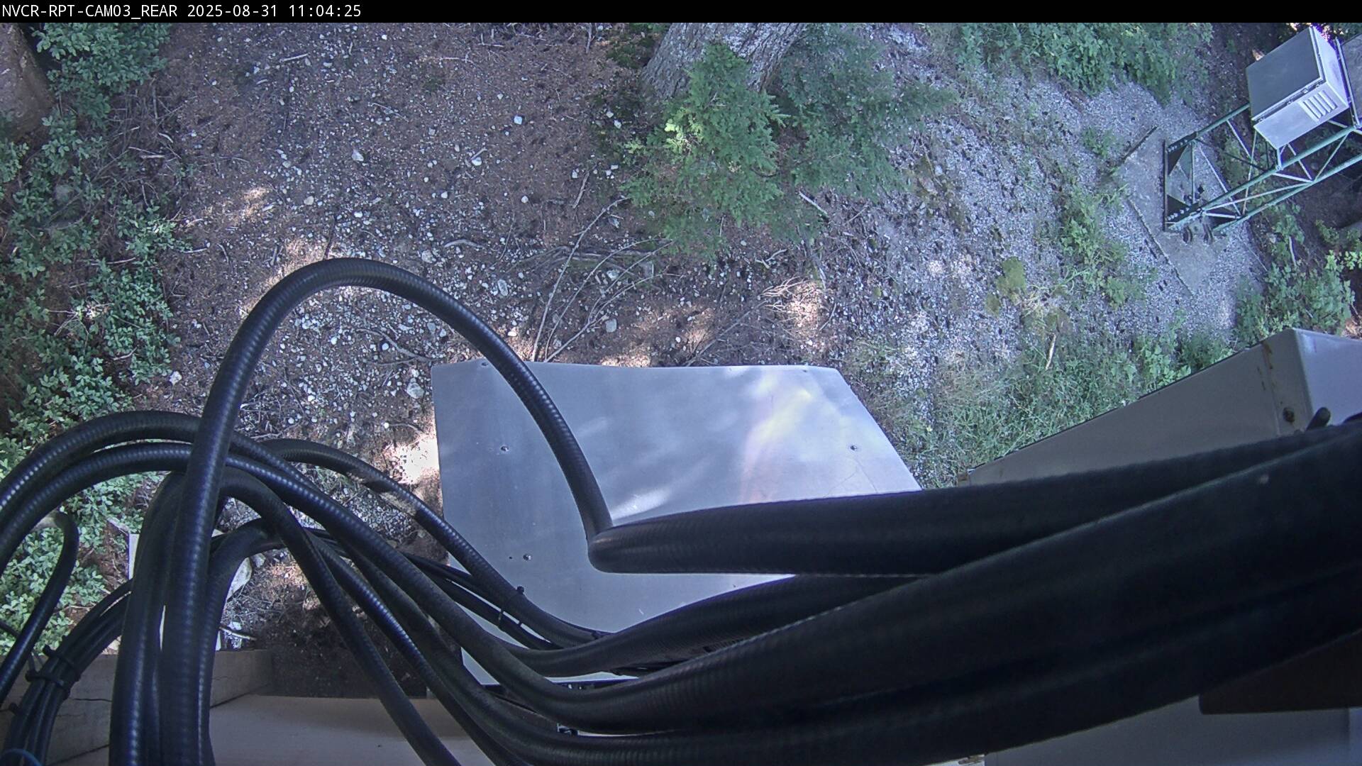Web Cam History Image - 114