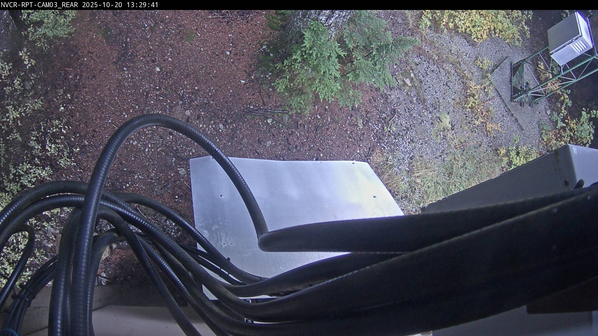 Web Cam History Image - 114