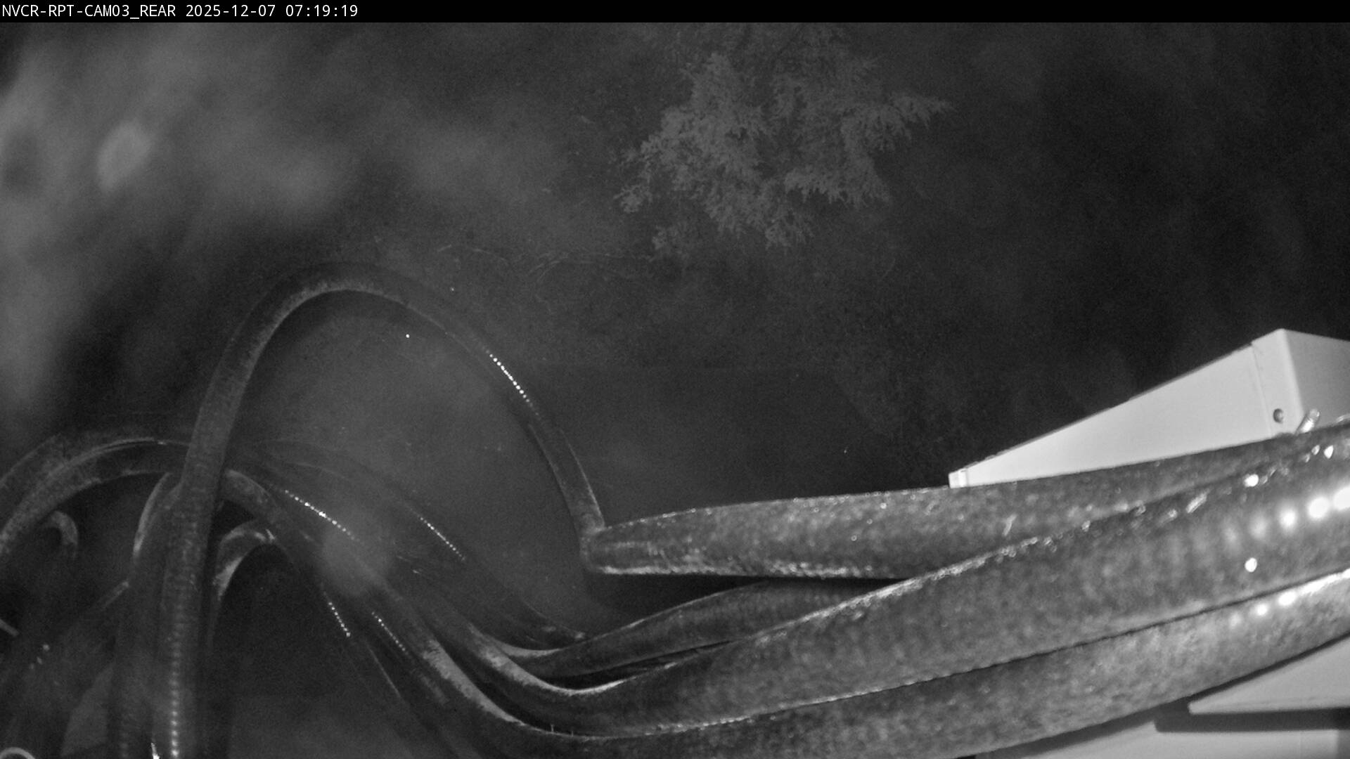 Web Cam History Image - 114