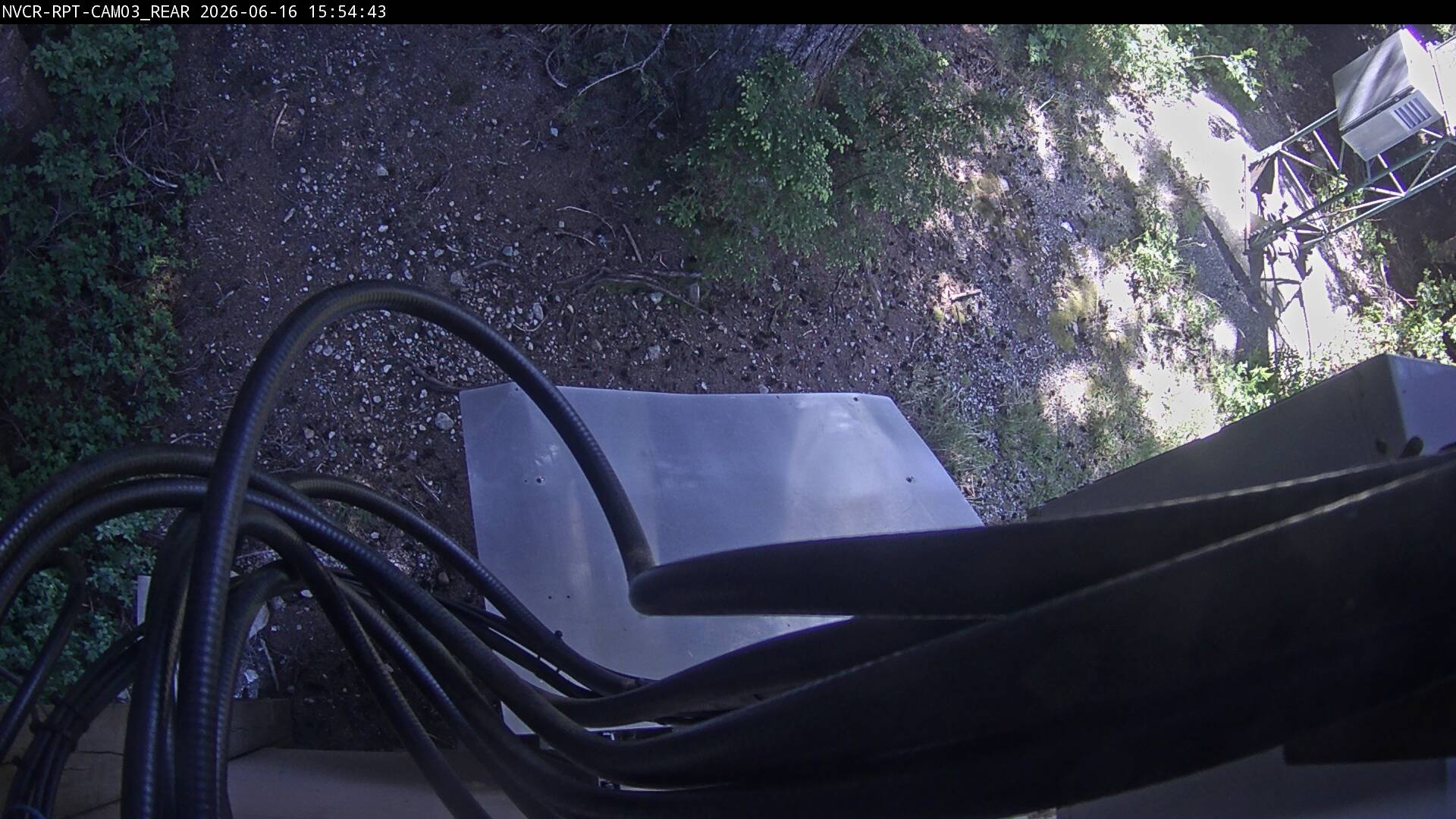 Web Cam History Image - 114