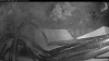 Web Cam Image - Sat, 11/15/2025 2:49pm PST