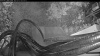 Web Cam Image - Tue, 07/21/2026 3:24am PDT