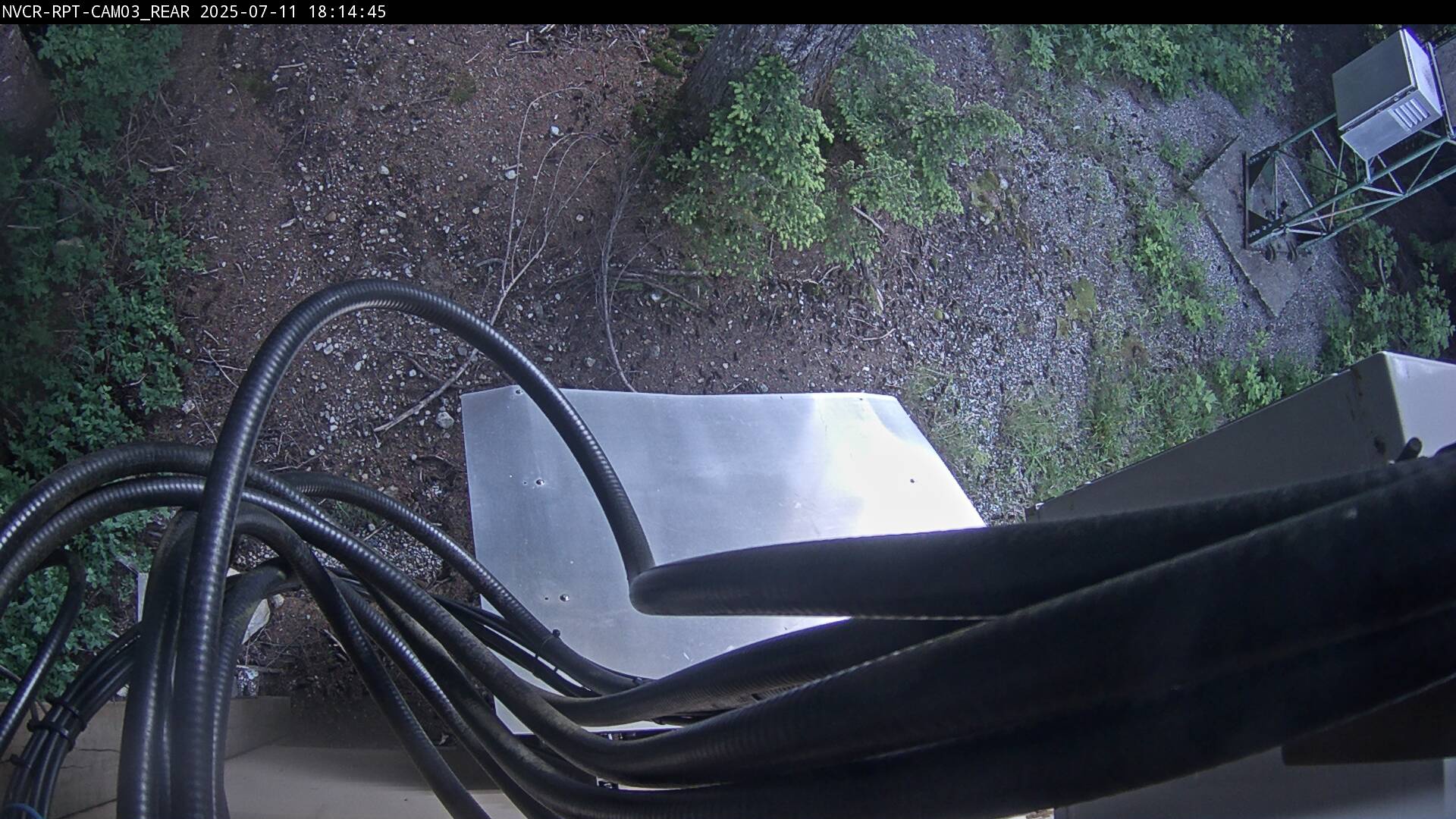 Web Cam History Image - 115