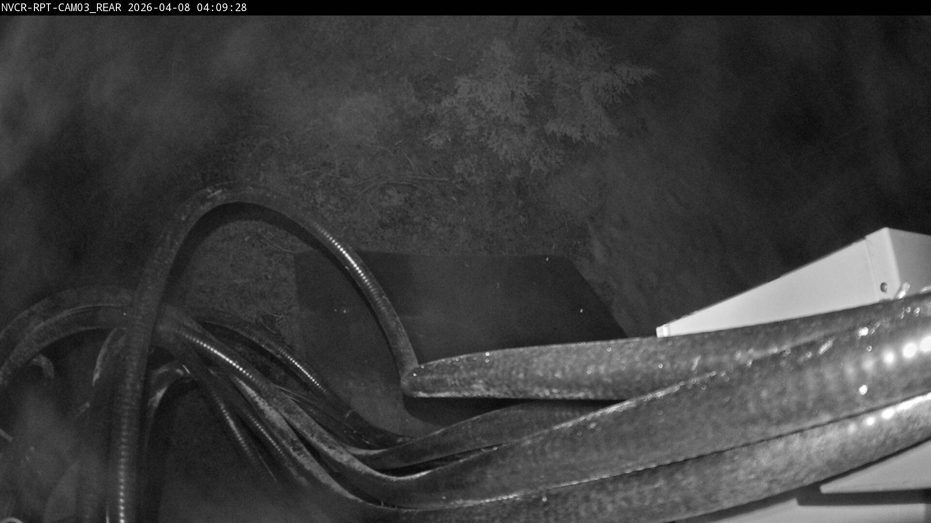 Web Cam History Image - 115