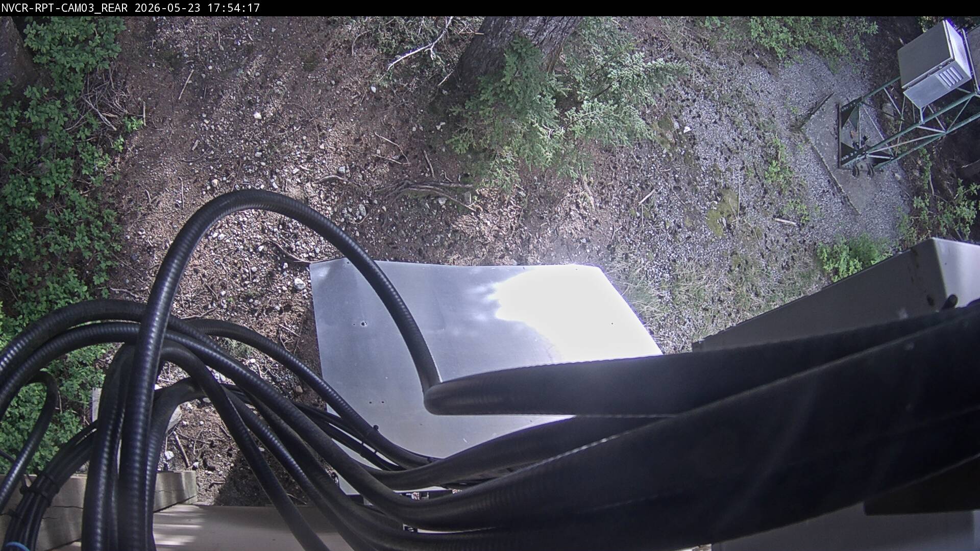Web Cam History Image - 115