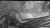 Web Cam Image - Fri, 09/25/2026 6:59am PDT
