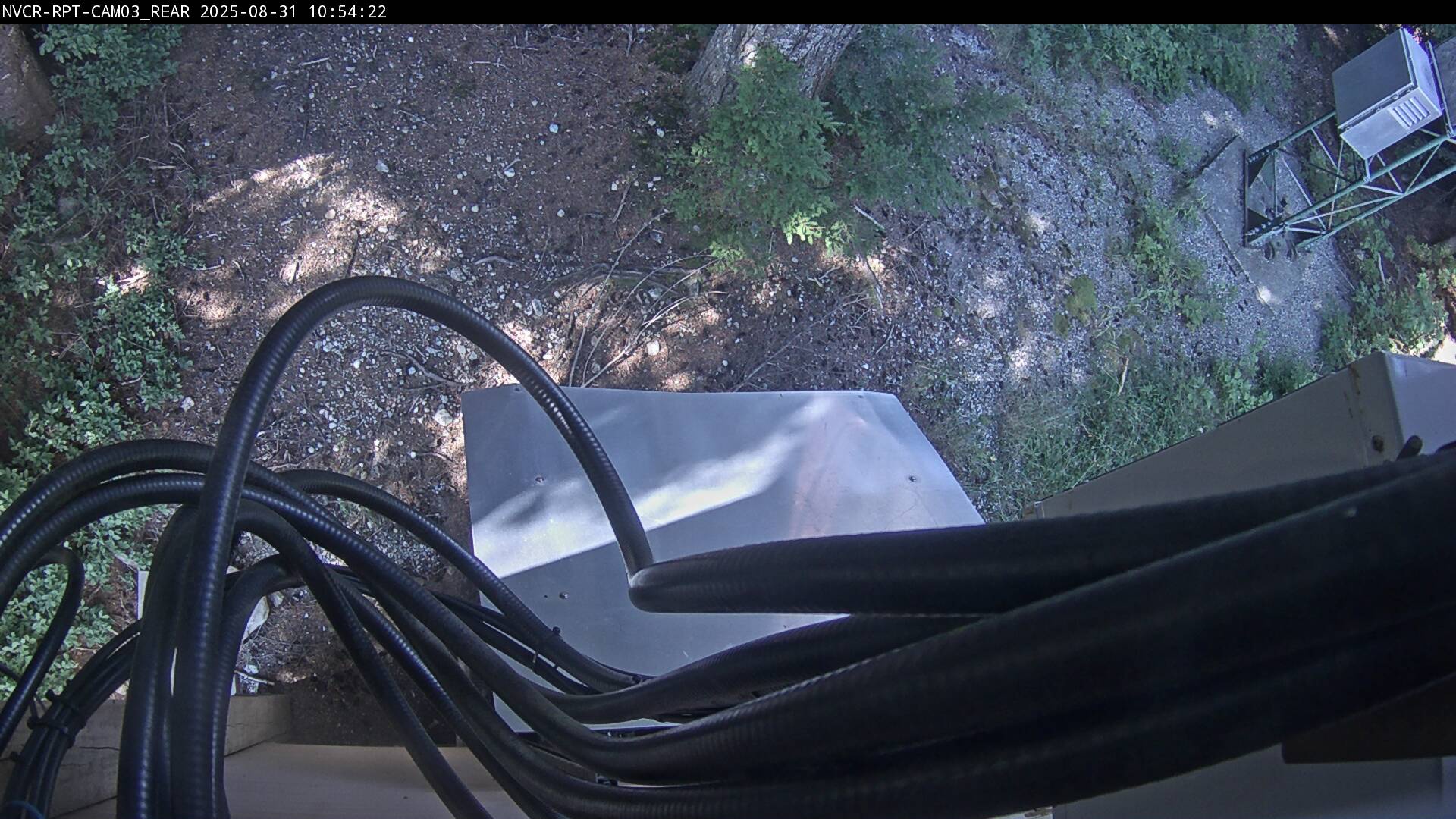 Web Cam History Image - 116
