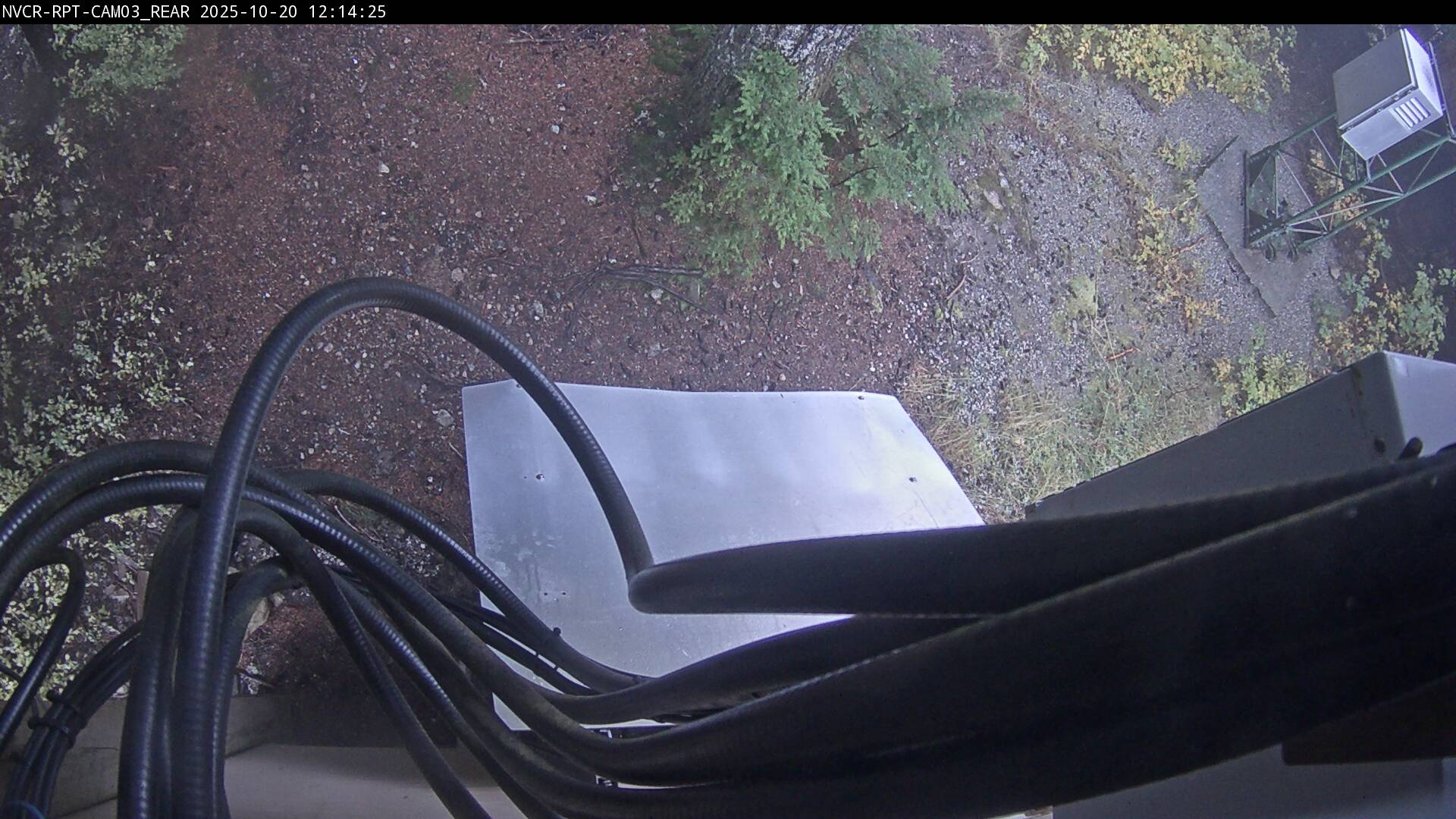 Web Cam History Image - 116