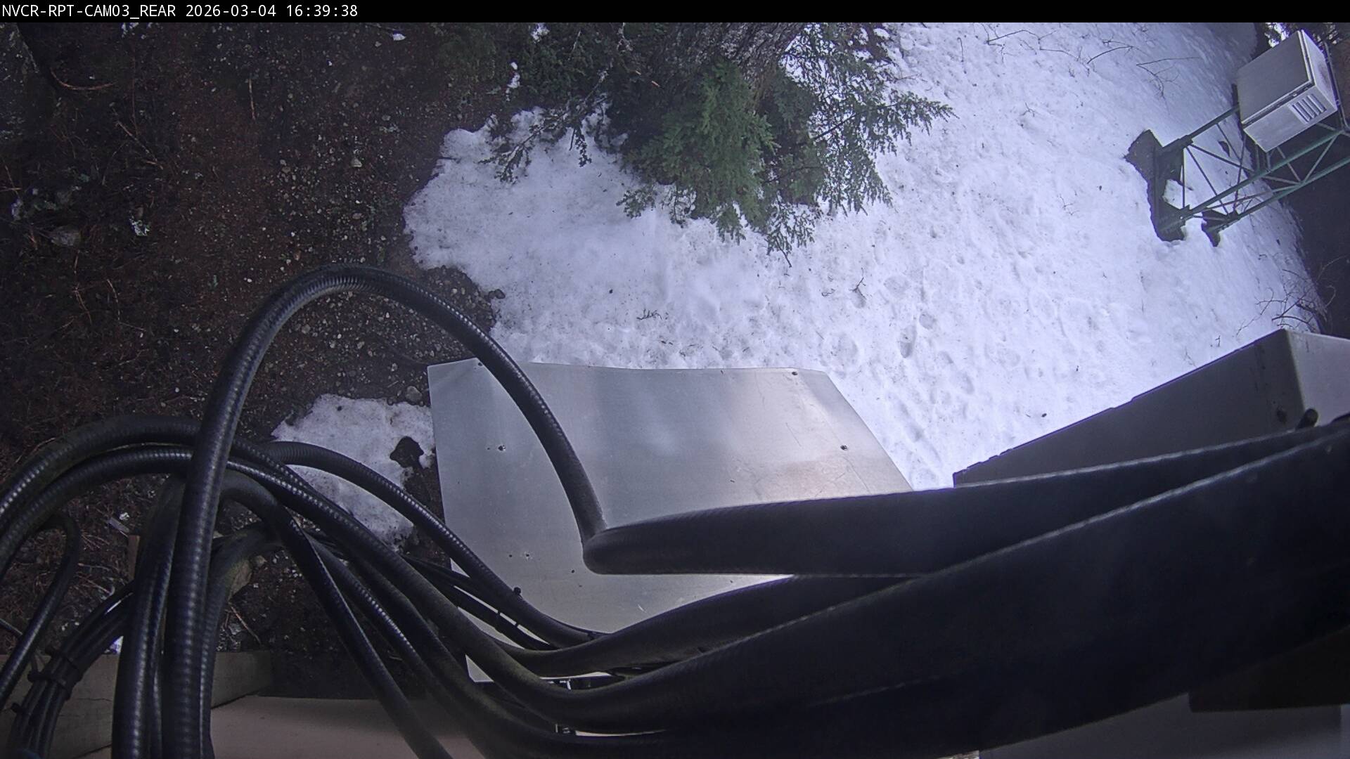 Web Cam History Image - 116