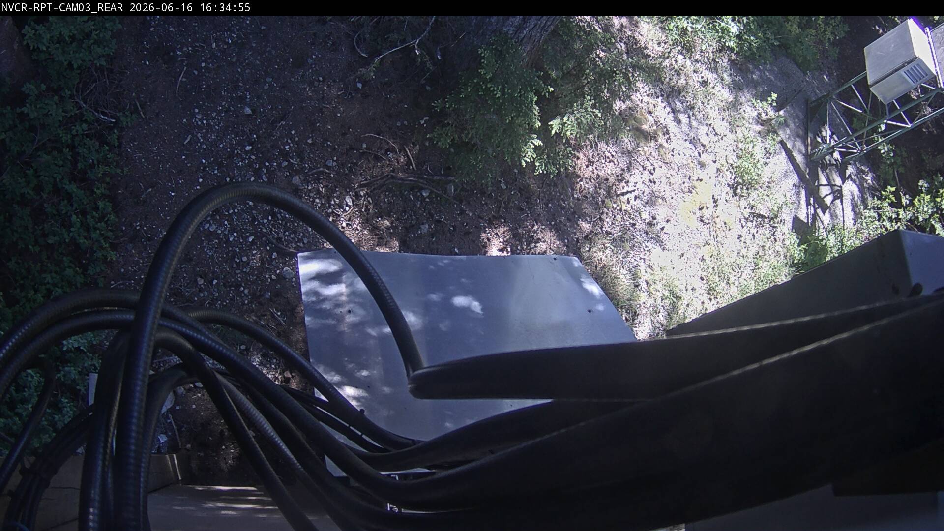 Web Cam History Image - 116