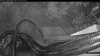 Web Cam Image - Tue, 10/20/2026 6:34am PDT