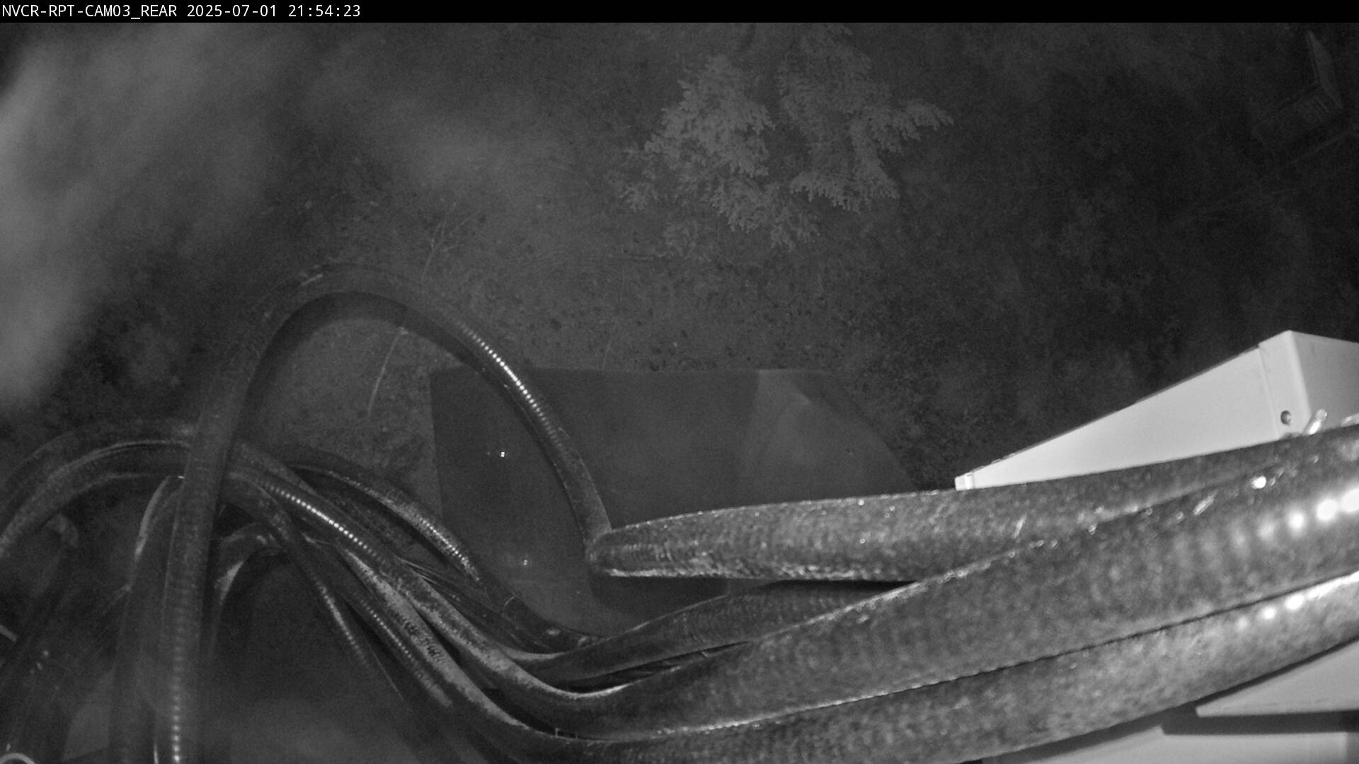 Web Cam History Image - 117