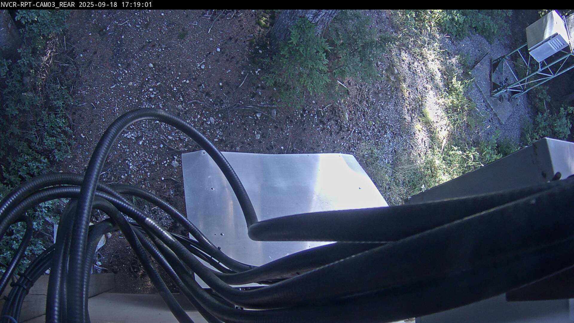 Web Cam History Image - 117