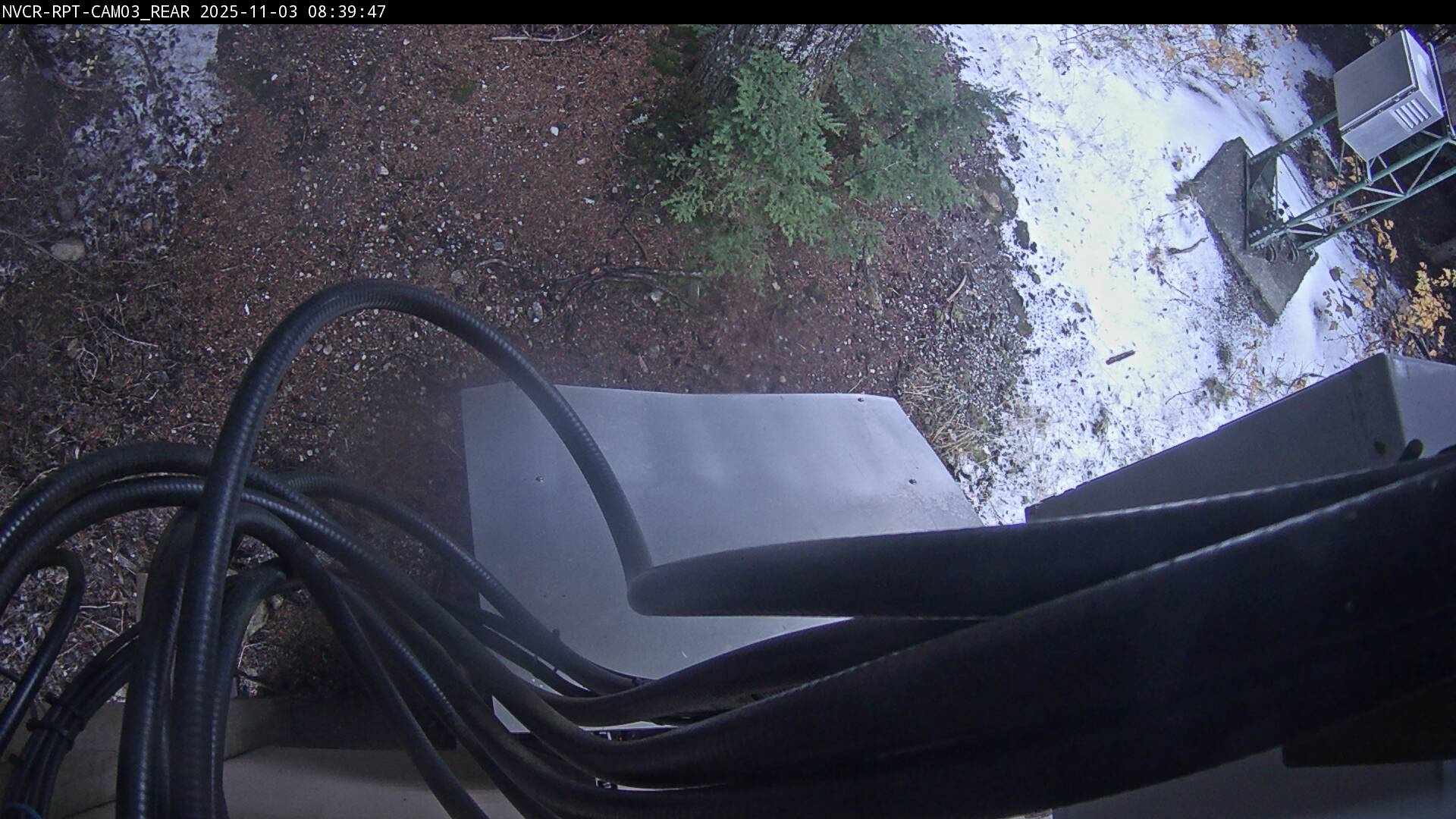 Web Cam History Image - 117