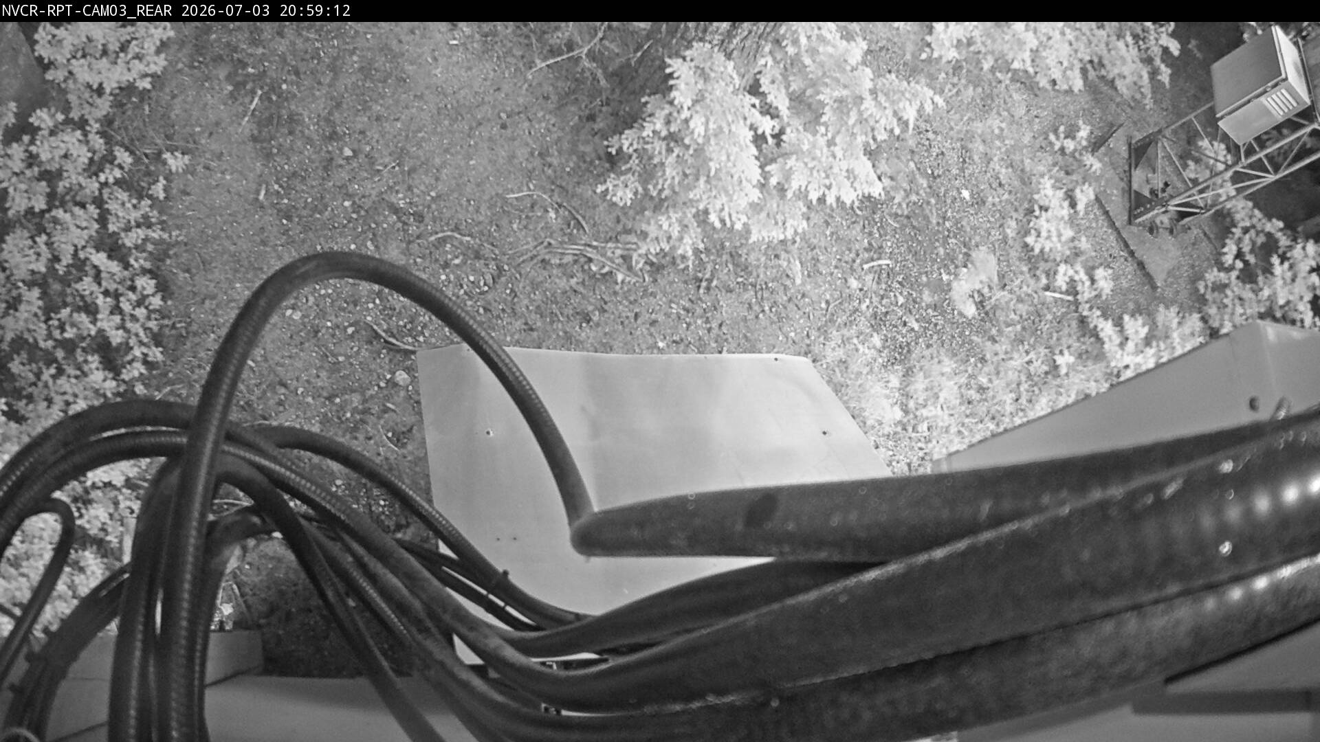 Web Cam History Image - 117