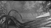 Web Cam Image - Sat, 09/05/2026 5:44am PDT