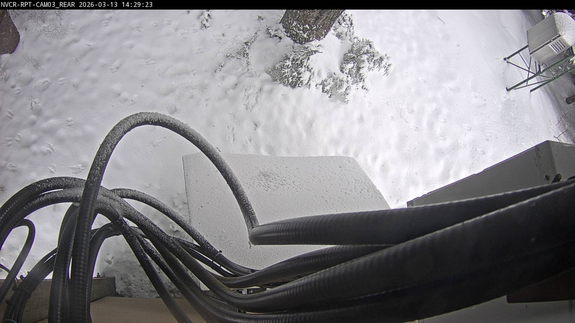 Web Cam History Image - 118