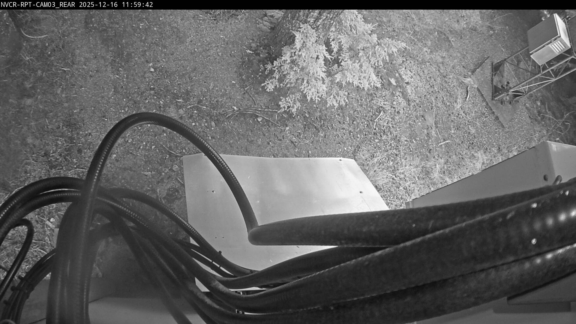 Web Cam History Image - 118