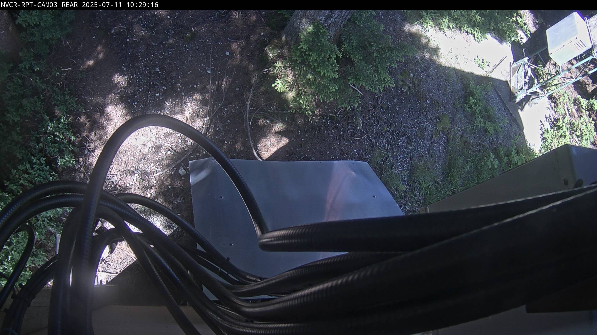 Web Cam History Image - 119