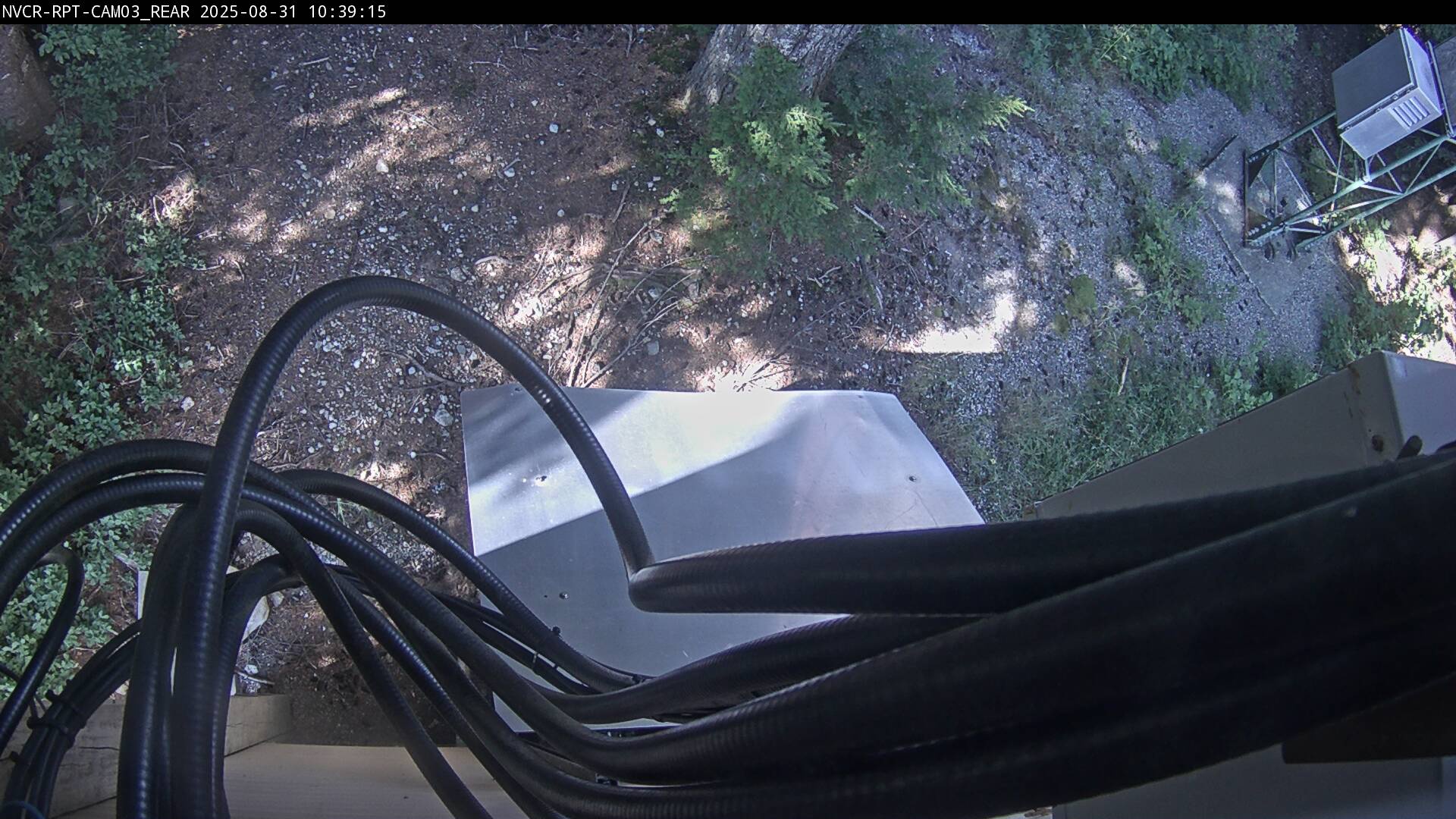 Web Cam History Image - 119