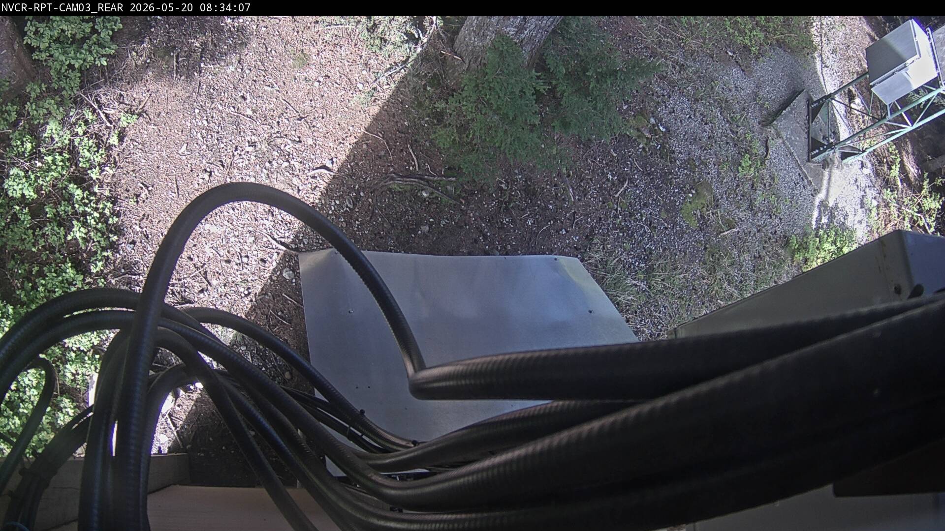 Web Cam History Image - 119