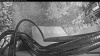 Web Cam Image - Sat, 08/29/2026 5:44am PDT