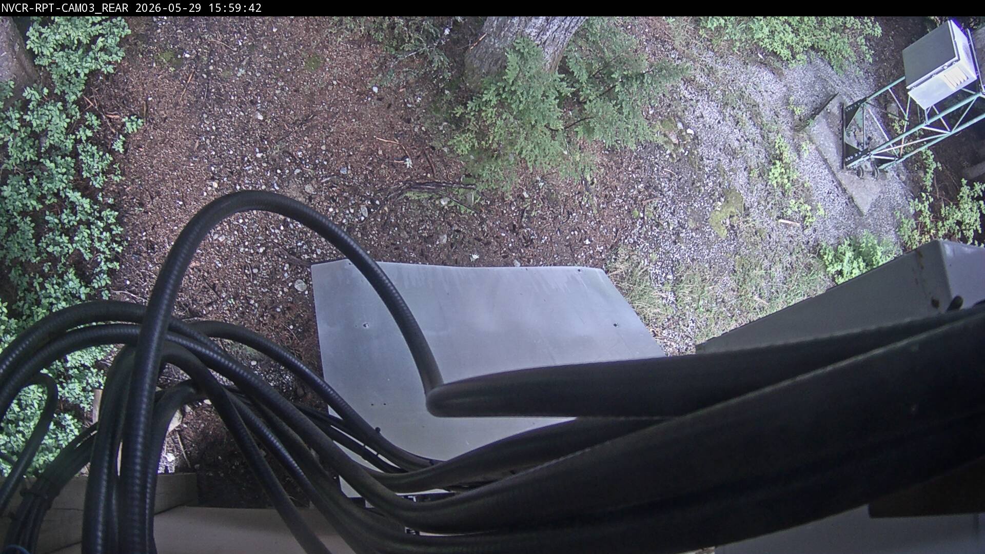 Web Cam History Image - 120