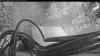 Web Cam Image - Mon, 09/07/2026 6:19am PDT