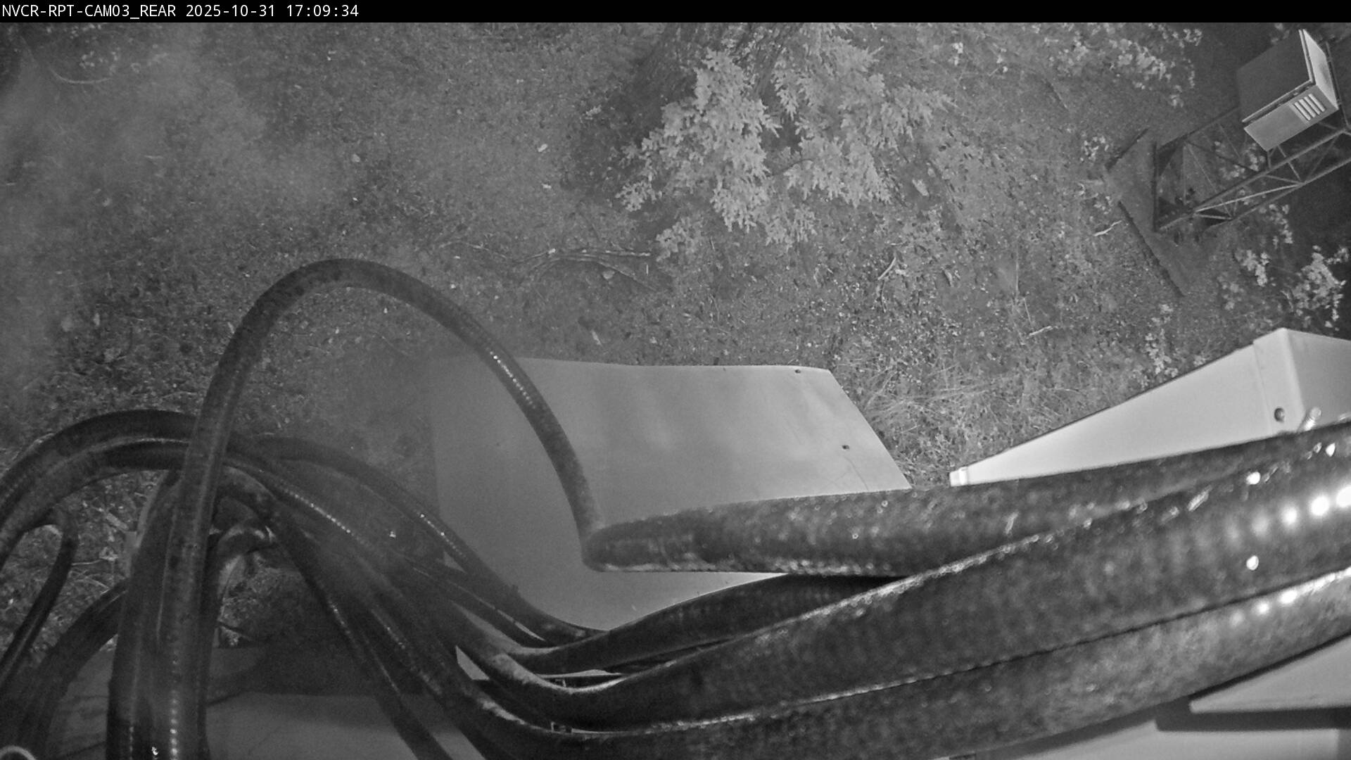 Web Cam History Image - 13