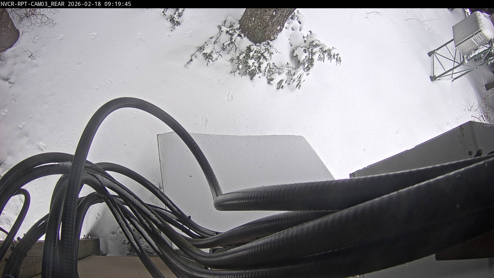 Web Cam History Image - 13