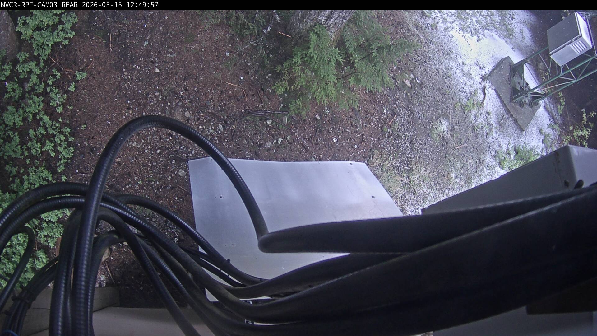 Web Cam History Image - 13