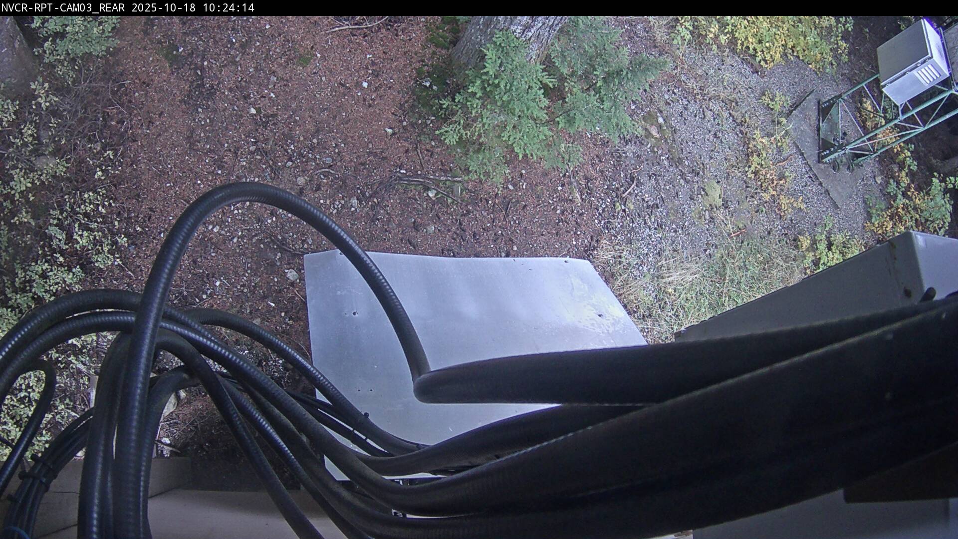 Web Cam History Image - 121