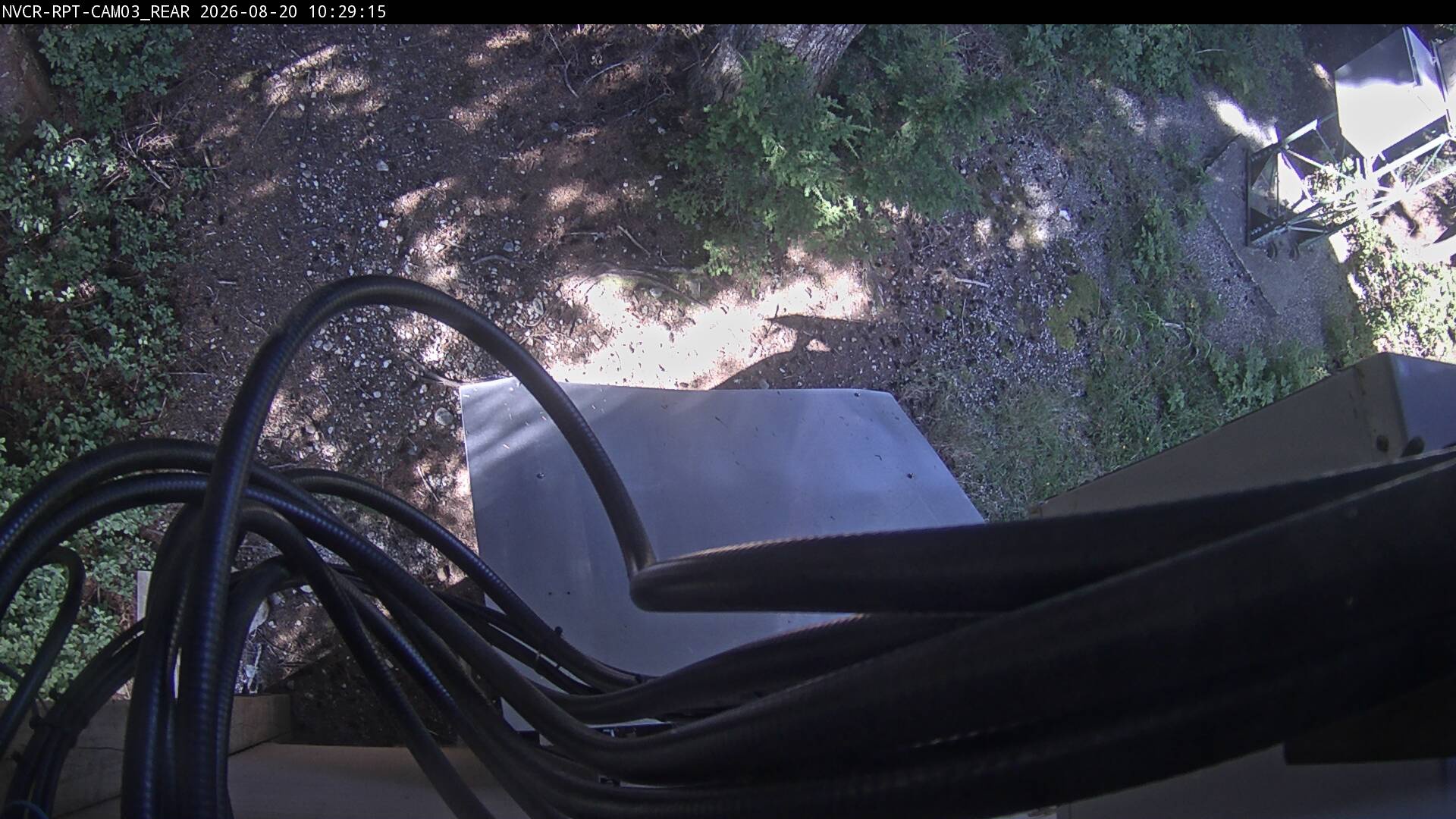 Web Cam History Image - 121