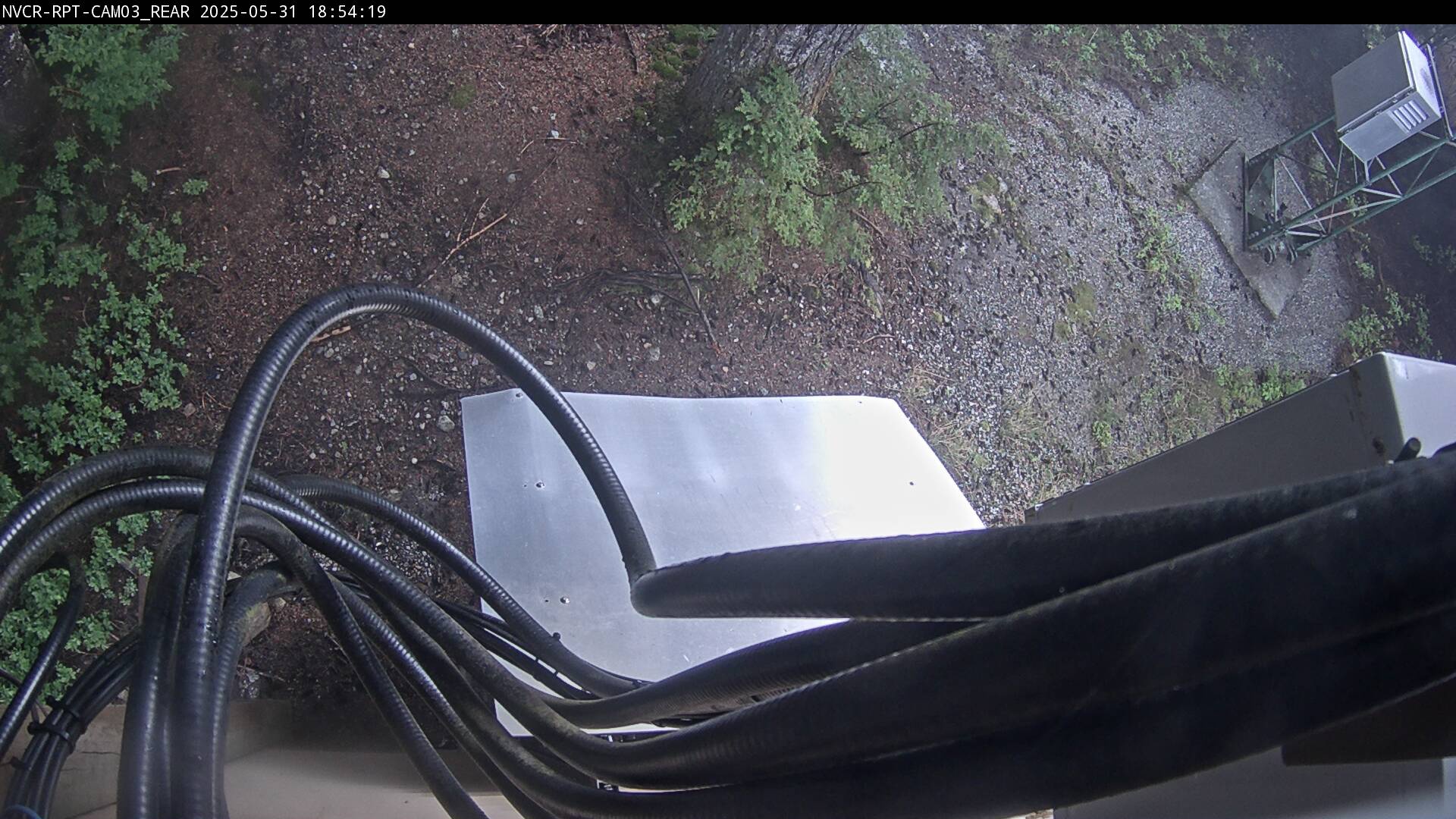 Web Cam History Image - 122